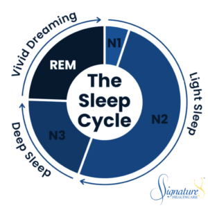 Infographic: What Is Sleep Fragmentation? How Broken Sleep Affects Us