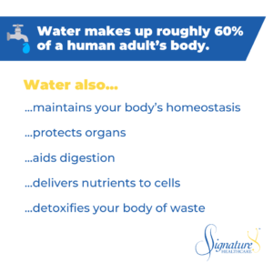 Infographic: Is There Really a Best Way to Hydrate?
