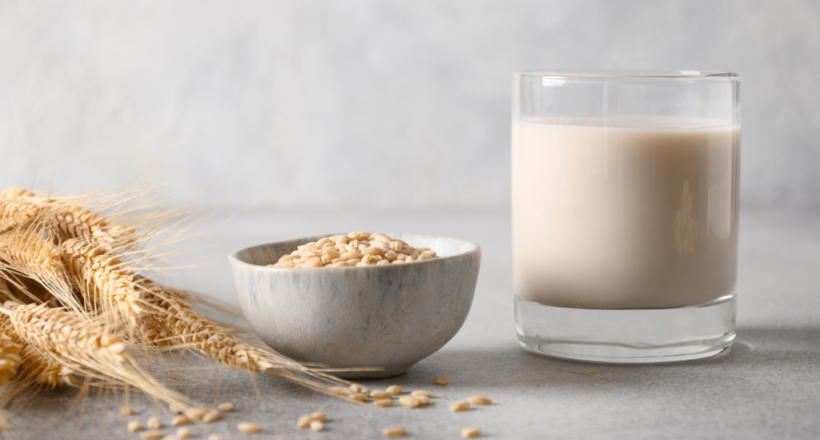 A glass of oat milk with a bowl of oats and wheat stalks on a gray background.