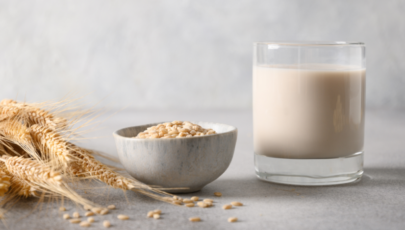 A glass of oat milk with a bowl of oats and wheat stalks on a gray background.