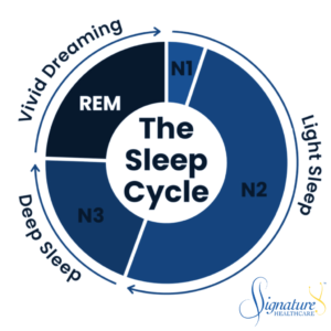 Infographic: What Is Sleep Fragmentation? How Broken Sleep Affects Us